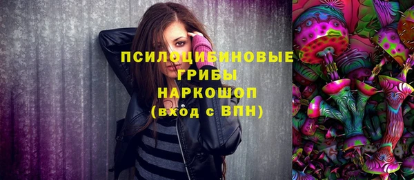 спиды Алексеевка