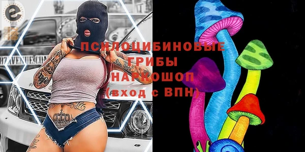 индика Алексин