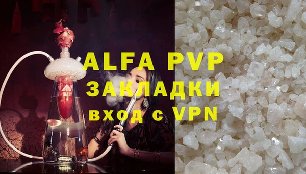 индика Алексин