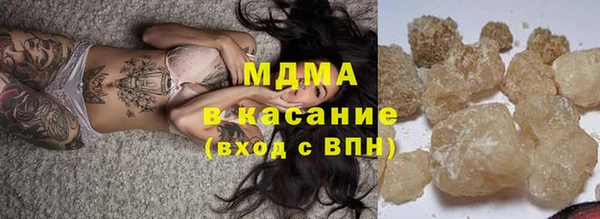 индика Алексин