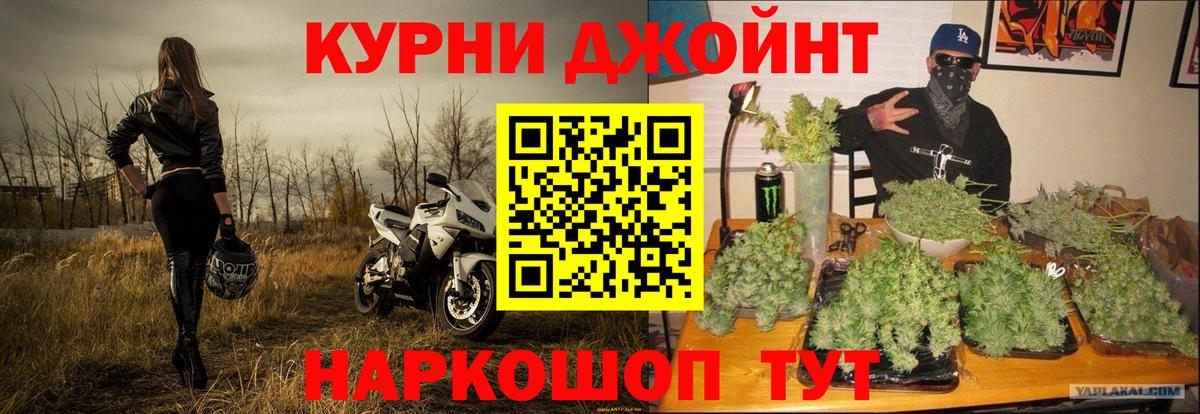 Шишки марихуана марихуана Камышин